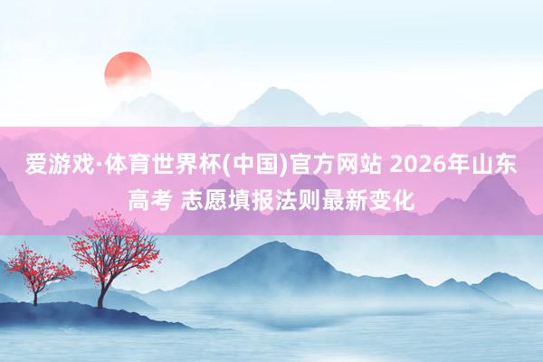 爱游戏·体育世界杯(中国)官方网站 2026年山东高考 志愿填报法则最新变化