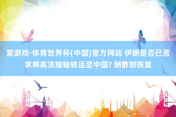 爱游戏·体育世界杯(中国)官方网站 伊朗是否已苦求将高浓缩铀转运至中国? 酬酢部恢复