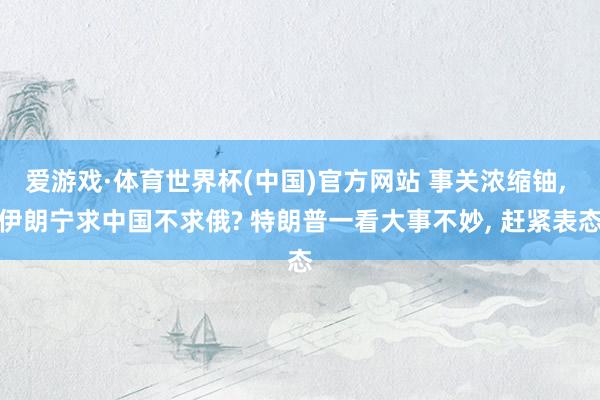 爱游戏·体育世界杯(中国)官方网站 事关浓缩铀, 伊朗宁求中国不求俄? 特朗普一看大事不妙, 赶紧表态