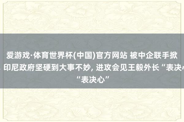 爱游戏·体育世界杯(中国)官方网站 被中企联手掀桌, 印尼政府坚硬到大事不妙, 进攻会见王毅外长“表决心”
