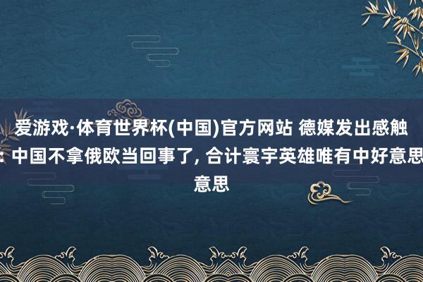 爱游戏·体育世界杯(中国)官方网站 德媒发出感触: 中国不拿俄欧当回事了, 合计寰宇英雄唯有中好意思