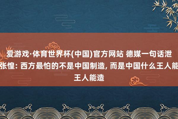 爱游戏·体育世界杯(中国)官方网站 德媒一句话泄漏张惶: 西方最怕的不是中国制造, 而是中国什么王人能造