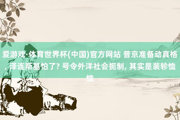 爱游戏·体育世界杯(中国)官方网站 普京准备动真格, 泽连斯基怕了? 号令外洋社会扼制, 其实是装轸恤