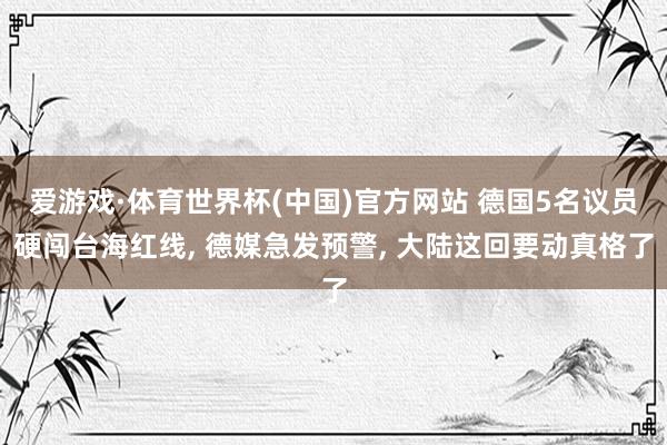 爱游戏·体育世界杯(中国)官方网站 德国5名议员硬闯台海红线, 德媒急发预警, 大陆这回要动真格了
