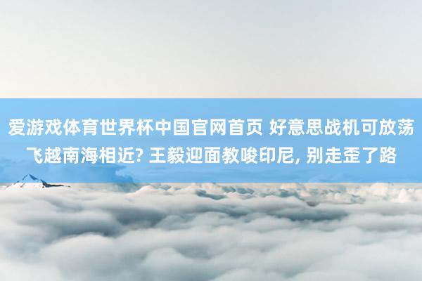 爱游戏体育世界杯中国官网首页 好意思战机可放荡飞越南海相近? 王毅迎面教唆印尼, 别走歪了路