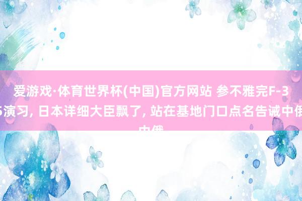 爱游戏·体育世界杯(中国)官方网站 参不雅完F-35演习, 日本详细大臣飘了, 站在基地门口点名告诫中俄