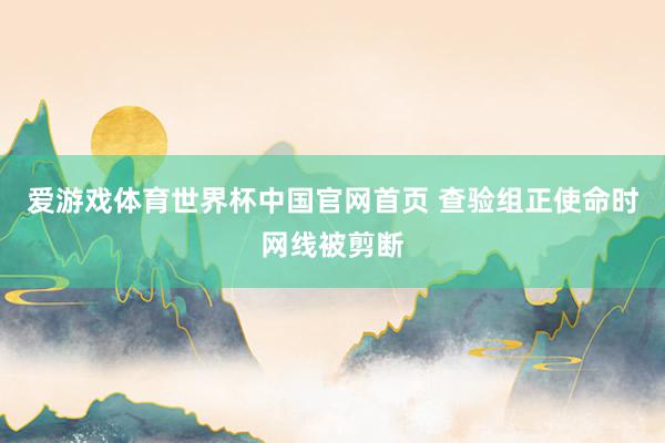 爱游戏体育世界杯中国官网首页 查验组正使命时网线被剪断