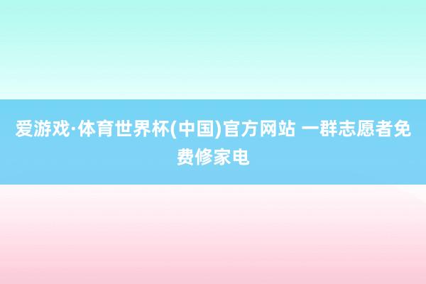 爱游戏·体育世界杯(中国)官方网站 一群志愿者免费修家电