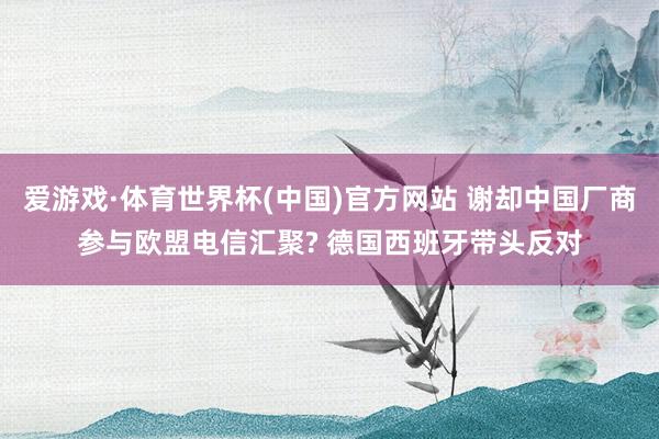 爱游戏·体育世界杯(中国)官方网站 谢却中国厂商参与欧盟电信汇聚? 德国西班牙带头反对