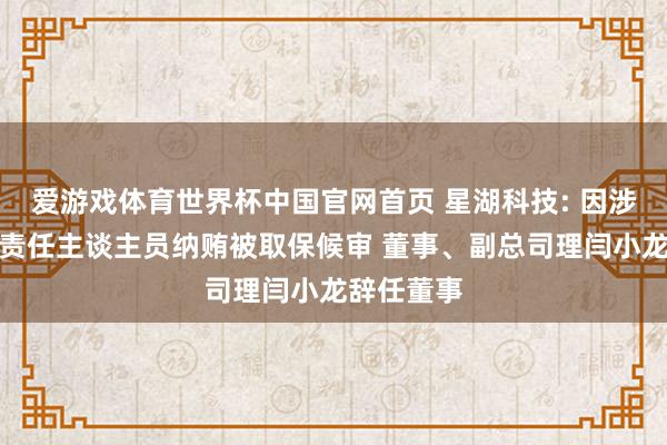 爱游戏体育世界杯中国官网首页 星湖科技: 因涉嫌非国度责任主谈主员纳贿被取保候审 董事、副总司理闫小龙辞任董事