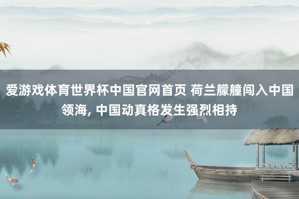 爱游戏体育世界杯中国官网首页 荷兰艨艟闯入中国领海, 中国动真格发生强烈相持