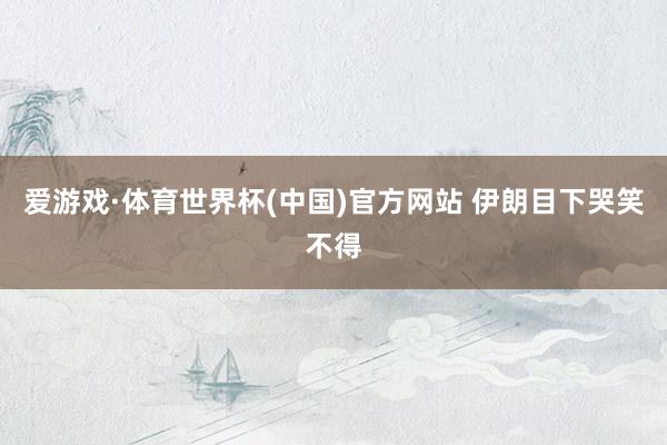 爱游戏·体育世界杯(中国)官方网站 伊朗目下哭笑不得