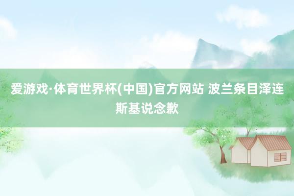 爱游戏·体育世界杯(中国)官方网站 波兰条目泽连斯基说念歉