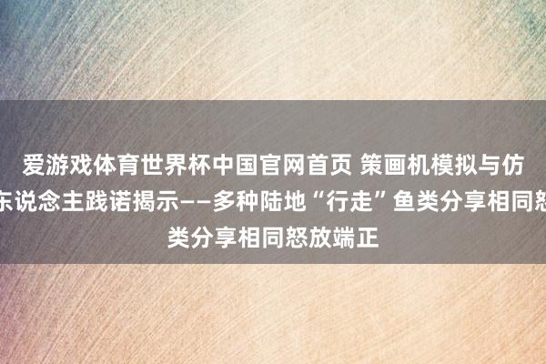 爱游戏体育世界杯中国官网首页 策画机模拟与仿期望器东说念主践诺揭示——多种陆地“行走”鱼类分享相同怒放端正