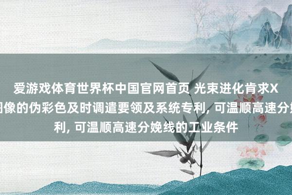 爱游戏体育世界杯中国官网首页 光束进化肯求X射线异物检测图像的伪彩色及时调遣要领及系统专利, 可温顺高速分娩线的工业条件