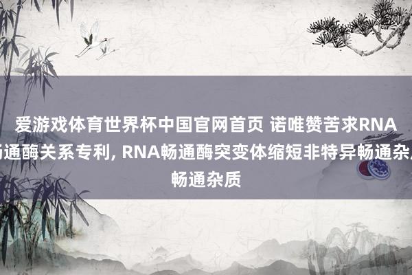 爱游戏体育世界杯中国官网首页 诺唯赞苦求RNA畅通酶关系专利, RNA畅通酶突变体缩短非特异畅通杂质