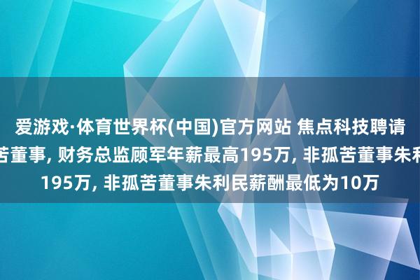 爱游戏·体育世界杯(中国)官方网站 焦点科技聘请59岁李友根为非孤苦董事, 财务总监顾军年薪最高195万, 非孤苦董事朱利民薪酬最低为10万
