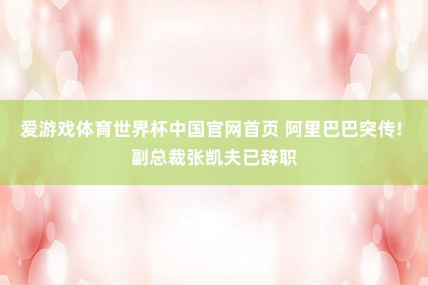 爱游戏体育世界杯中国官网首页 阿里巴巴突传! 副总裁张凯夫已辞职