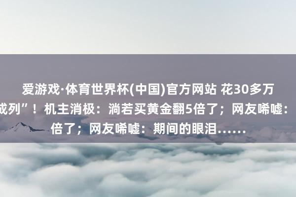 爱游戏·体育世界杯(中国)官方网站 花30多万买的手机沦为“成列”!机主消极:淌若买黄金翻5倍了;网友唏嘘:期间的眼泪……