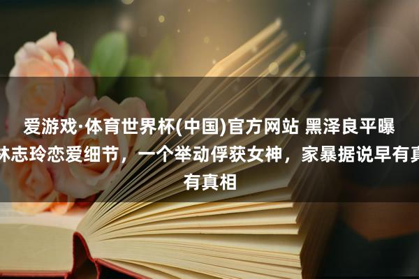 爱游戏·体育世界杯(中国)官方网站 黑泽良平曝与林志玲恋爱细节,一个举动俘获女神,家暴据说早有真相