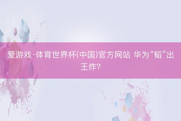 爱游戏·体育世界杯(中国)官方网站 华为“韬”出王炸?
