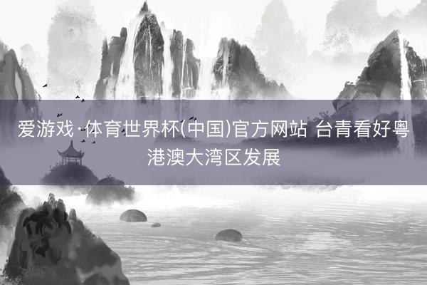 爱游戏·体育世界杯(中国)官方网站 台青看好粤港澳大湾区发展